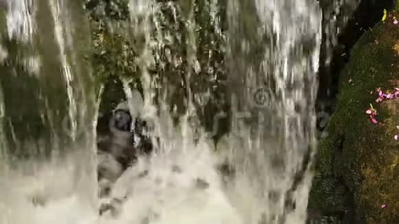 淡水瀑布在长满苔藓的岩石间飞溅的慢镜头视频的预览图