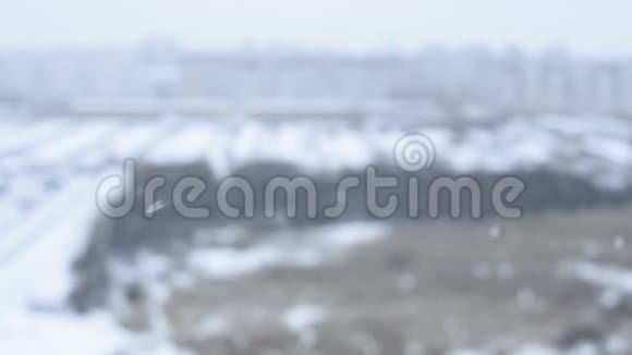 冬季雪落在模糊的树木的背景上视频的预览图