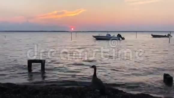 海岸附近美丽的日落时分视频视频的预览图