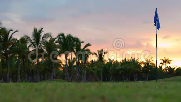 豪华热带度假村高尔夫球场运动场场地和棕榈树的日落视频的预览图