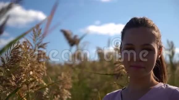 漂亮的女孩肖像扎着辫子在田野里的太阳面前摆弄她的头发视频的预览图