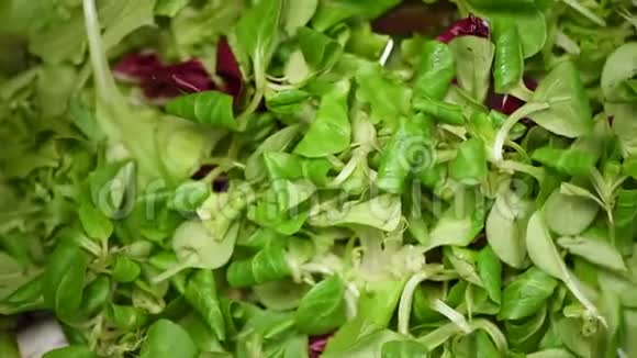 旋转背景下从种子到沙拉的镜像生的有机蔬菜上景素食和素食视频的预览图