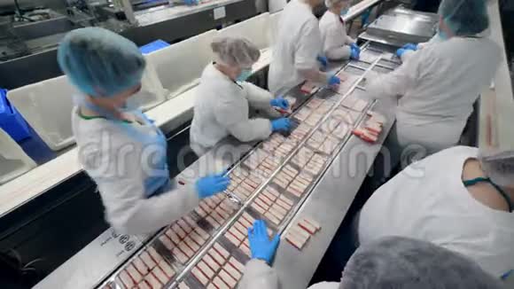 工业员工正在加工鱼类产品工厂工人组装产品视频的预览图