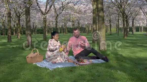 荷兰阿姆斯特丹春天在公园野餐在阿姆斯特丹盛开的樱花树男人和视频的预览图