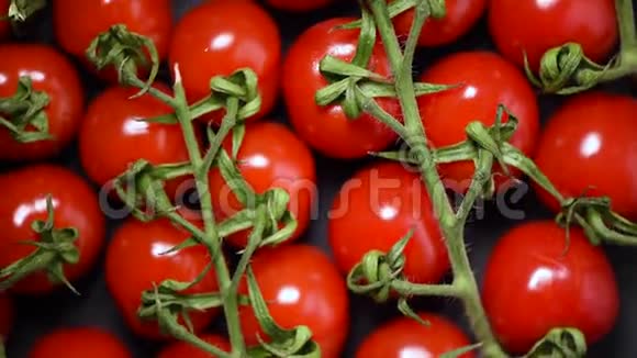 旋转背景上的樱桃番茄上景素和生食概念一串新鲜的红西红柿视频的预览图