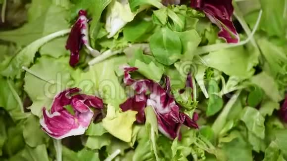 新鲜沙拉叶在旋转的bck地上上景绿色生有机蔬菜素食和素食概念视频的预览图