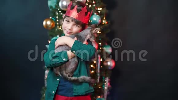男孩在圣诞树的背景下抱着一只灰色的猫视频的预览图