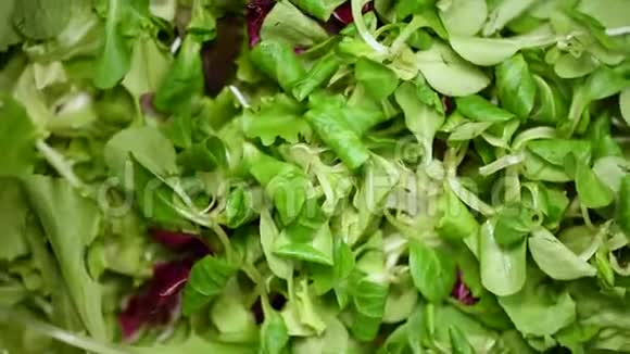 旋转背景下从种子到沙拉的镜像生的有机蔬菜上景素食和素食视频的预览图