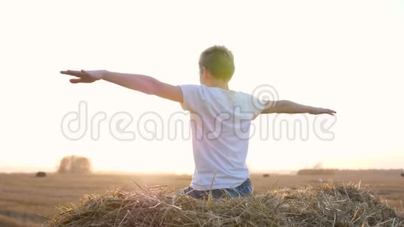 那家伙坐在干草堆上他看着远处的田野模仿着飞行乡村日落视频的预览图