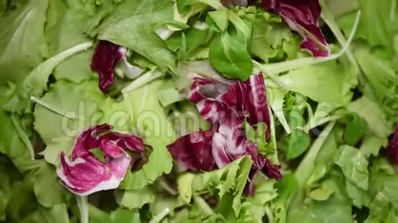 新鲜沙拉叶在旋转的bck地上上景绿色生有机蔬菜素食和素食概念视频的预览图