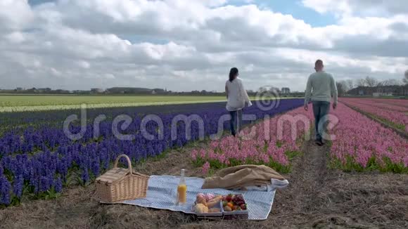 荷兰的春花季节一对夫妇在灯泡区与风信子一起野餐视频的预览图