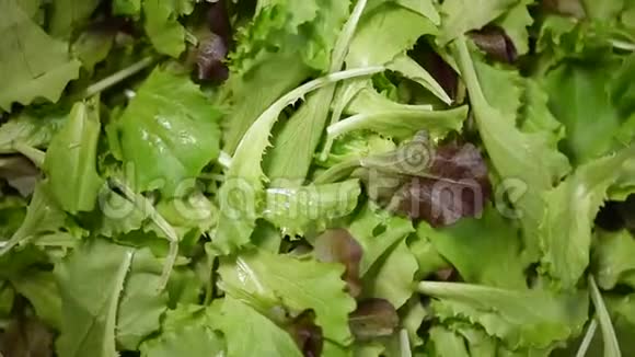 绿色沙拉留下背景生的有机蔬菜上景素食和素食的概念视频的预览图