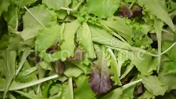 绿色沙拉留下背景生的有机蔬菜上景素食和素食的概念视频的预览图