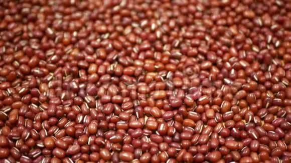 阿祖基豆植物细节阿祖基红绿豆豆类健康营养超级食品中国喜马拉雅山受欢迎的亚洲商店视频的预览图
