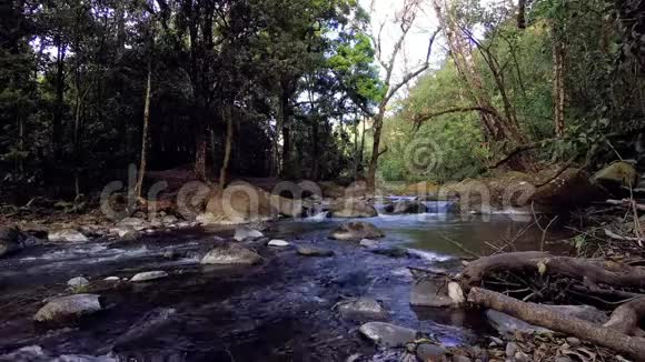 萨维格雷河圣杰拉尔多多塔哥斯达黎加格查尔斯国家公园视频的预览图
