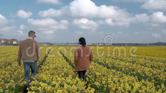 黄花地情侣在黄花床上漫步黄水仙花春在荷兰丽塞视频的预览图