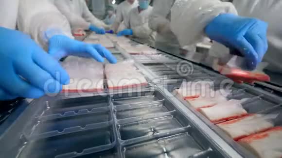 食品加工厂生产线工业工人用鱼产品填充包装板视频的预览图