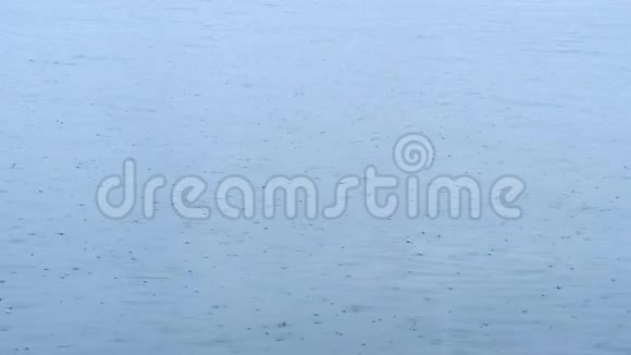 在伊兹密尔市的雨天海鸥在海上盘旋飞翔视频的预览图