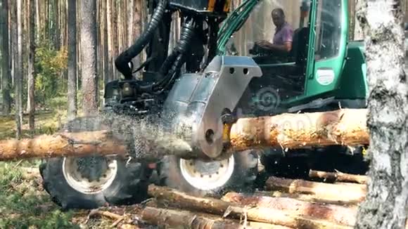 拖拉机在森林里工作时把树干切成碎片视频的预览图