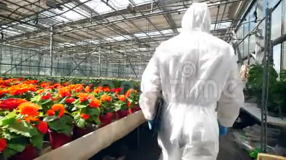 一位生物学家在温室里带着植物走到花盆附近视频的预览图