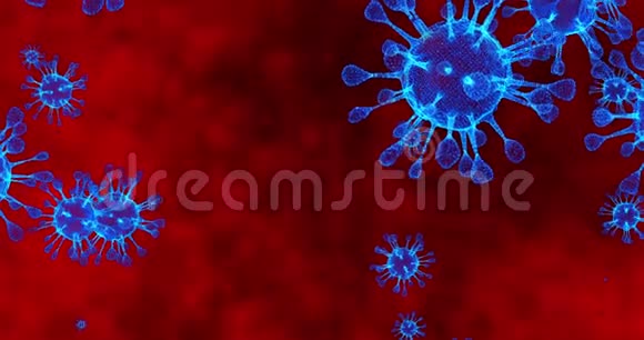 冠状病毒细胞COVID19传染病疾病的快速传播高浓度冠状病毒3D视频的预览图