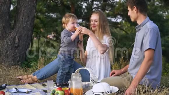 母亲和父亲带着年幼的儿子在公园野餐母亲给孩子喝一杯果汁家庭视频的预览图