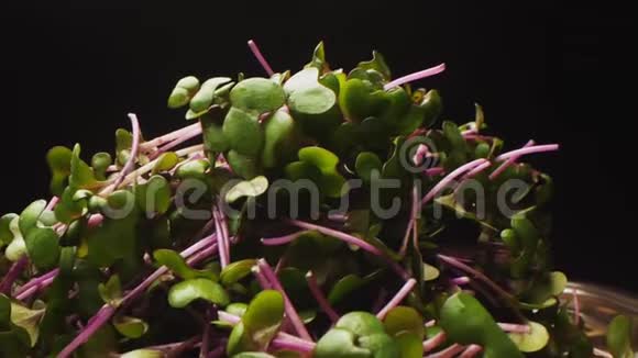 发芽菠菜在黑色背景上滴一滴视频的预览图