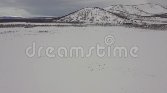 从无人机摄像机上看到的冬天的风景有山和白色的雪田田野上有几只白天鹅视频的预览图