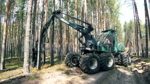 工作拖拉机移动树干视频的预览图