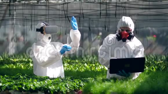 植物学家在与植物一起工作时使用VR眼镜视频的预览图