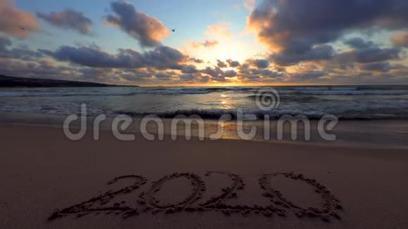 海滩2020年新年快乐概念日出视频视频的预览图