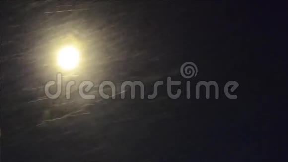 在月光下下雪视频的预览图