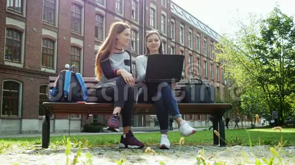 美丽快乐的女学生在一个联合项目上工作在笔记本电脑上做作业坐在公园里视频的预览图