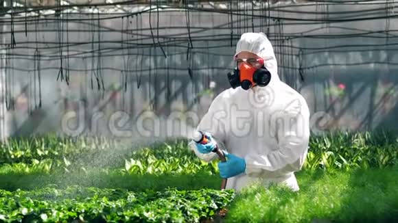 穿着均匀浇水的除草剂的人种在花盆里工化学品农业理念视频的预览图