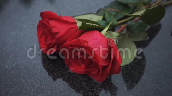 一块石头上有两朵湿玫瑰视频的预览图