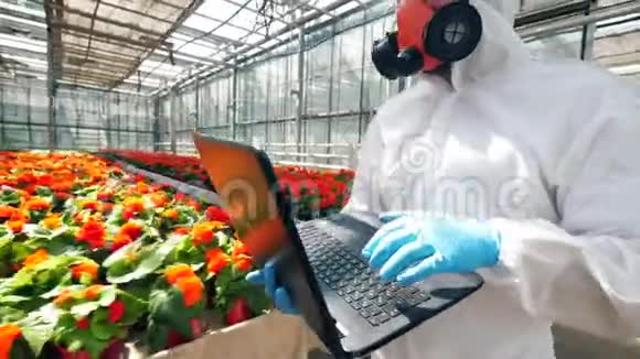 在温室里散步的时候男性农学家使用笔记本电脑视频的预览图