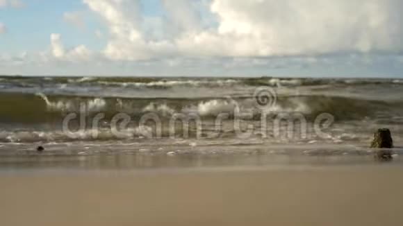 海景海浪视频的预览图