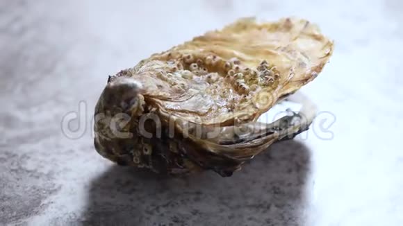 在灰色大理石旋转背景上打开牡蛎海鲜餐盘视频的预览图