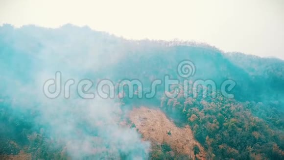 丛林大火的烟雾森林砍伐和气候危机热带雨林大火产生的有毒烟雾空中视频4k视频的预览图