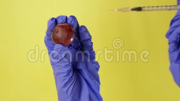 注射到葡萄里在黄色背景上用注射器交医疗手套转基因食品注射转基因生物视频的预览图