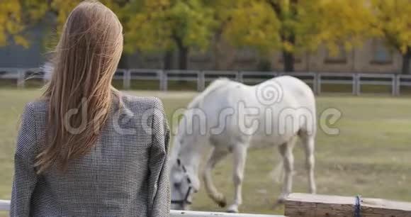 一个棕色皮肤的白人女人看着在畜栏里放牧的白马优雅的长发女孩视频的预览图