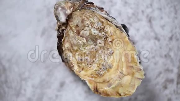 新鲜牡蛎在灰色大理石旋转背景海鲜餐盘视频的预览图