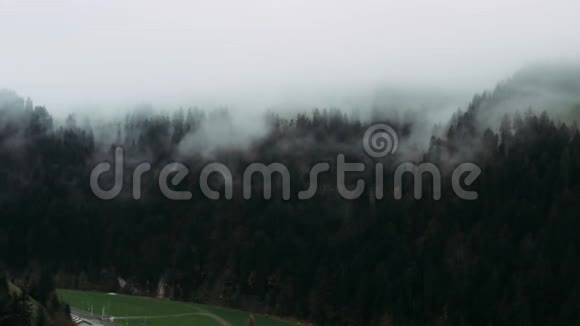 雾中的黑暗森林今天很糟糕视频的预览图