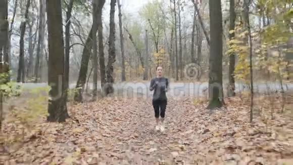 秋季公园受过良好训练的跑步者训练女性在秋季森林跑步锻炼正面观点视频的预览图