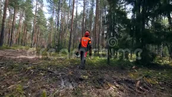 拿着电锯的伐木工人在森林里散步视频的预览图