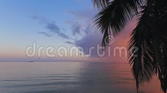 日出覆盖热带岛屿海滩和棕榈树多米尼加共和国蓬塔卡纳视频的预览图