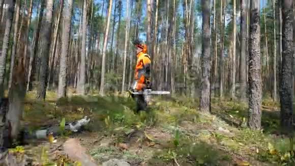 木工在靠近树木的森林里散步视频的预览图