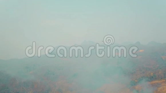 森林大火的烟雾森林砍伐和气候危机热带雨林大火产生的有毒烟雾空中视频4k视频的预览图