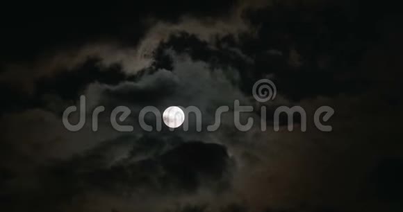 满月流云夜视频的预览图