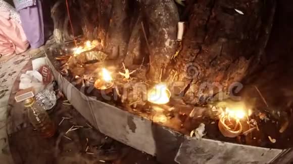 壁灯燃烧木棒烟雾和供在老榕树脚附近崇拜的配件靠近移动视频的预览图